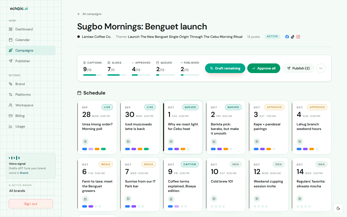 Campaign page with progress counters and a grid of scheduled posts